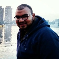 رضا البحراوى