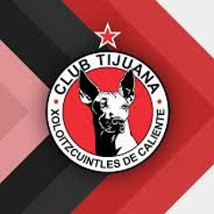 Tijuana Fan19