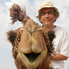 Mohammad Seyedahmadian