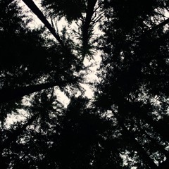 WNND