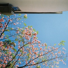 Sornsiri Sirisophaphong