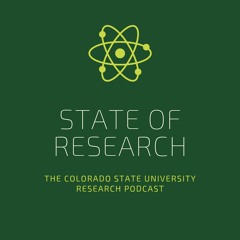 State of Research