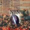 N.B.N.   /   NorthBeachNinja
