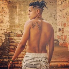 Gonçalo L Palmer