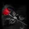 Chantal Domen