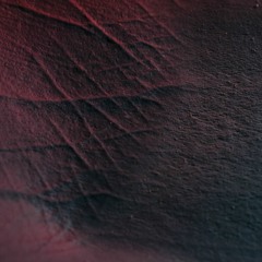 Léo Dumont-Deslaurier