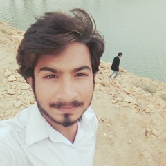 hafeez shaikh