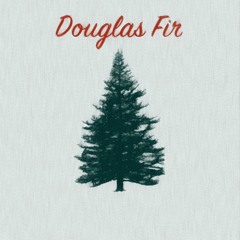 Douglas Fir