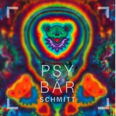 PsyBärSchmitt