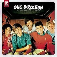 One Direction  - What Makse You Beautiful 1D