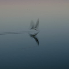 ereike