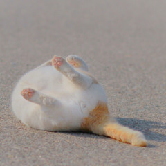 빈