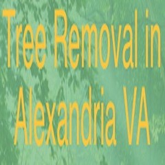 AAA Tree Service