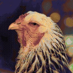 Monadic Poultry