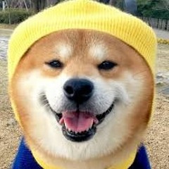 Elgno