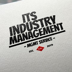 Its Industry MGMT