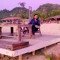 swapnil newaz