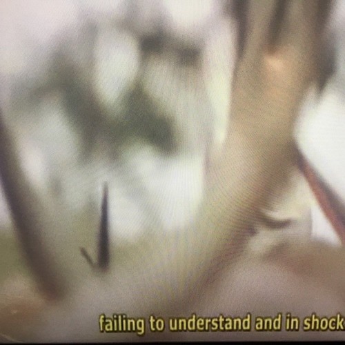 Stream Vhs Tape Hiss by mondo sound prototypes Listen online for free on SoundCloud