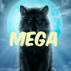 MR. MEGA