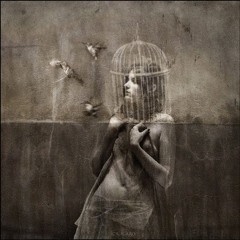 David Baron