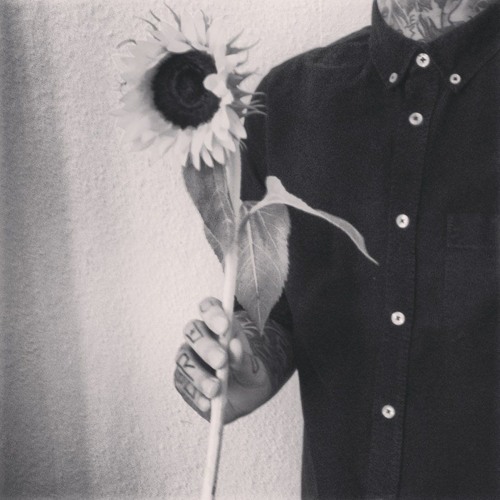curtis sunflower’s avatar