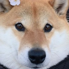 isthisusernametakenyet