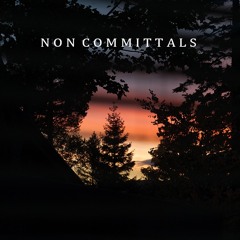 NonCommittals