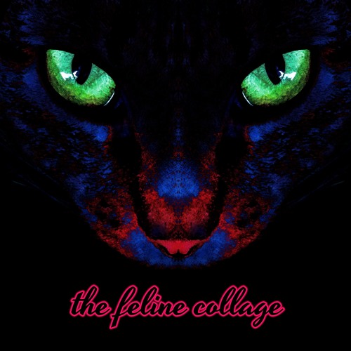 The Feline Collage’s avatar