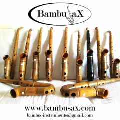 Bambusa X