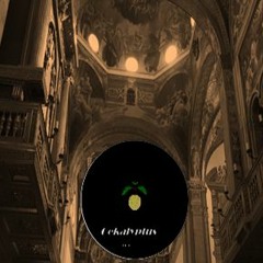 Oekalyptus