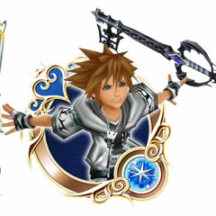 Final Form Sora