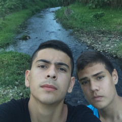 homero2013