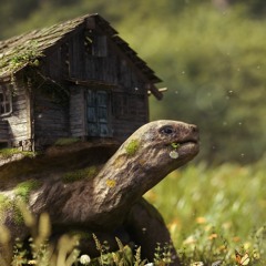 Paranoid_Iguana