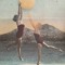Pilobolus
