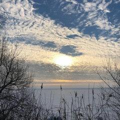 Anastasiya Borisenkova