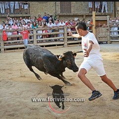 MoroMalayoLizarra