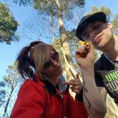 pinzone