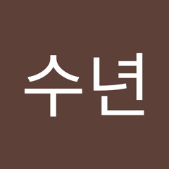 김수년