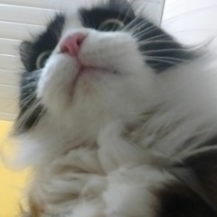 me klittra