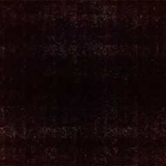 Robertty Vj
