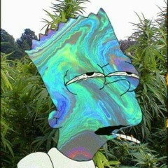 HippieLife00