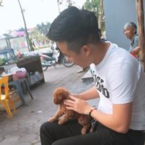 Tùng Nguyễn’s avatar