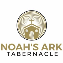 Noah's Ark TOP