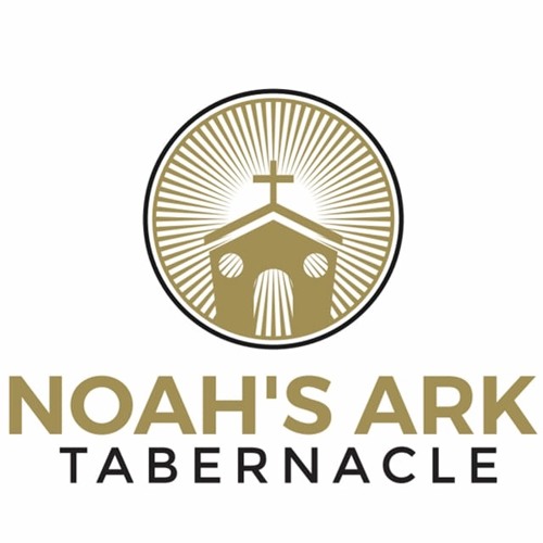 Noah's Ark TOP’s avatar