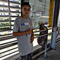 sebas