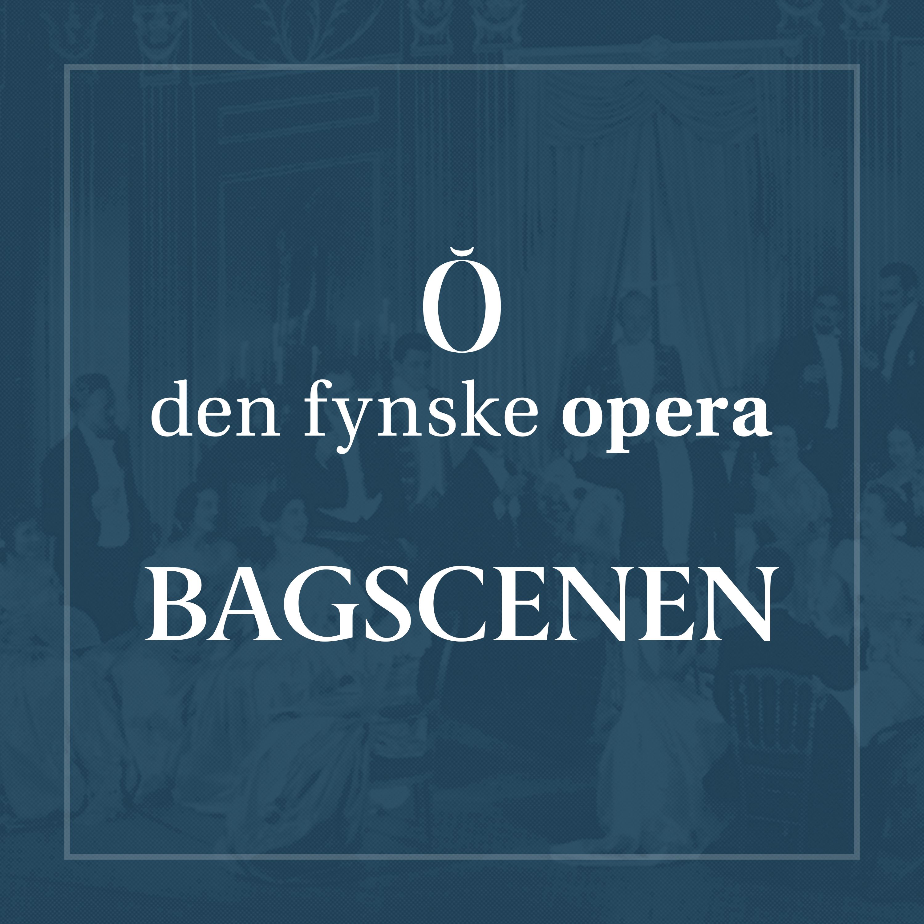 Bagscenen af Den Fynske Opera