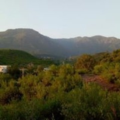 AS