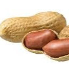 Stream lil nuts music | Listen to songs, albums, playlists for 