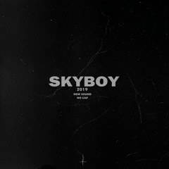 SKYBØY