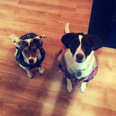 ʕ•ᴥ•ʔ KennyKat ʕ•ᴥ•ʔ